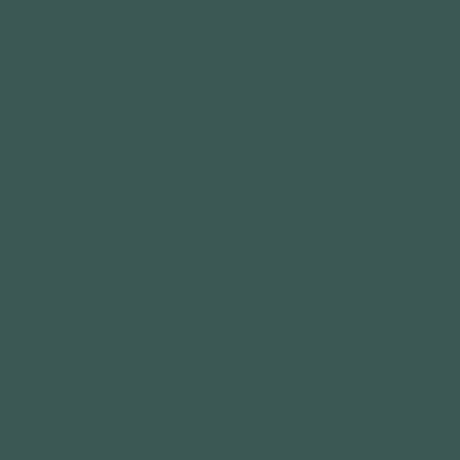 ColorPlay (Cotton Organic